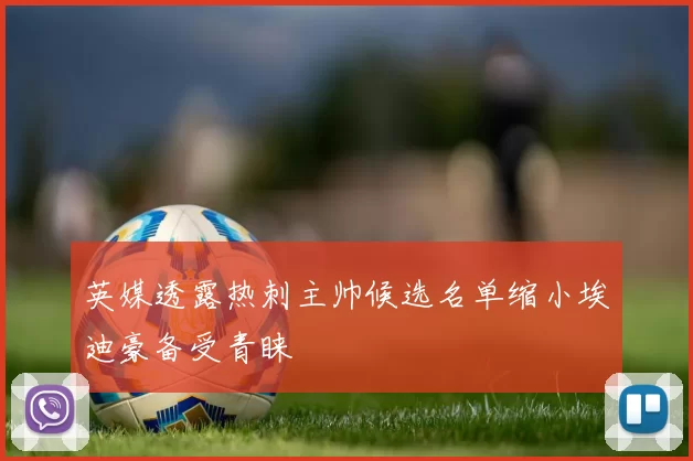 英媒透露热刺主帅候选名单缩小埃迪豪备受青睐