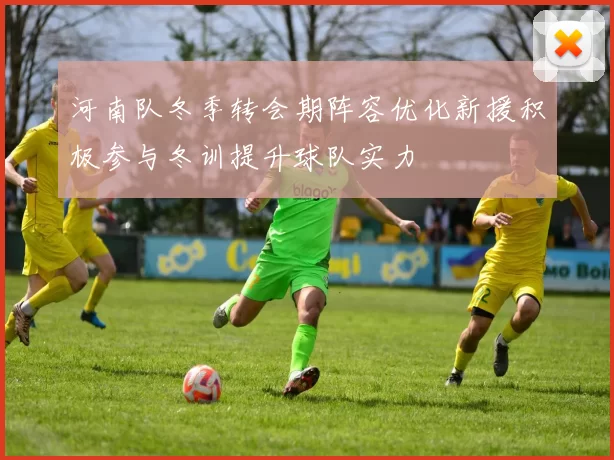 河南队冬季转会期阵容优化新援积极参与冬训提升球队实力