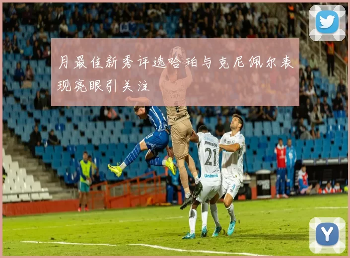月最佳新秀评选哈珀与克尼佩尔表现亮眼引关注